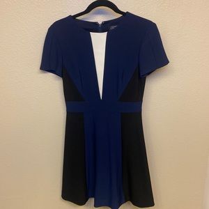 Business Casual Dress. Tahari Size 2P. Bought at Nordstroms.
